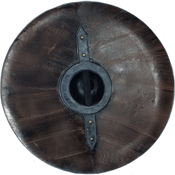 Shield back